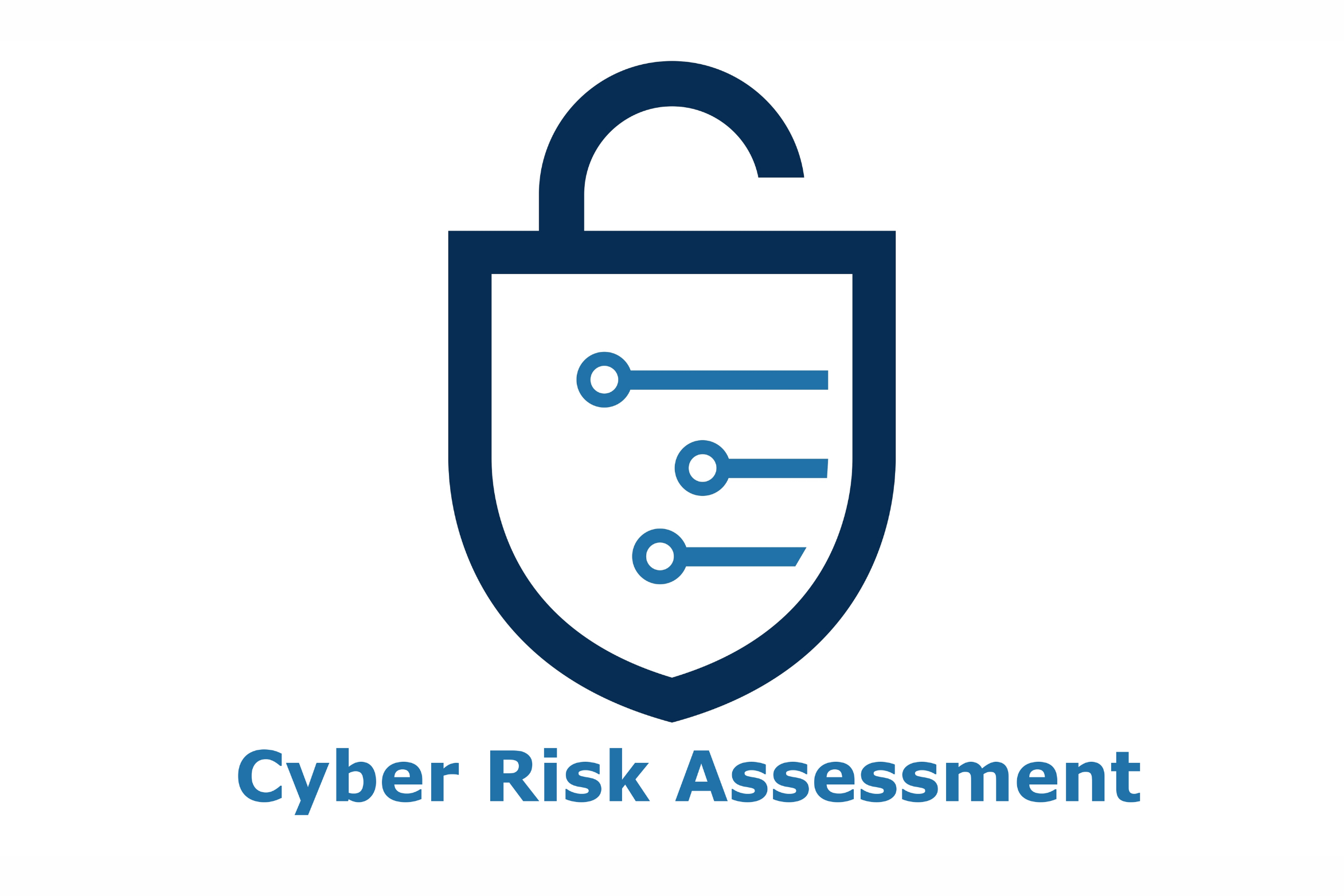 Cyber Risk Assesment